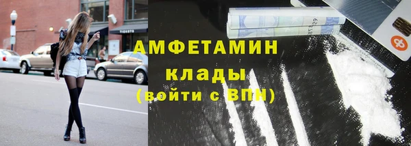 индика Волоколамск