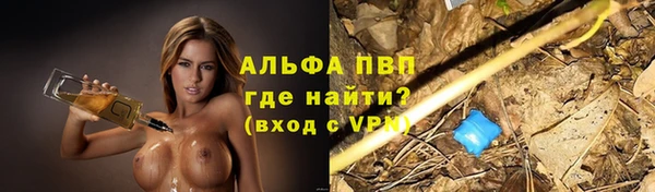 гидра Володарск