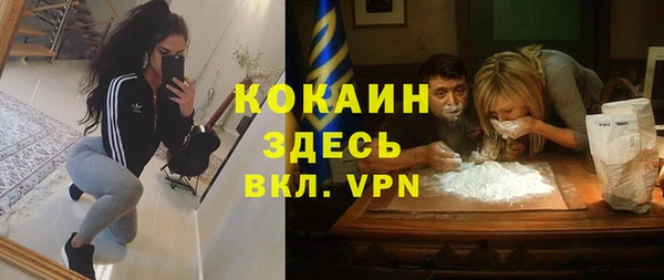 гидра Володарск