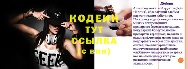 индика Волоколамск
