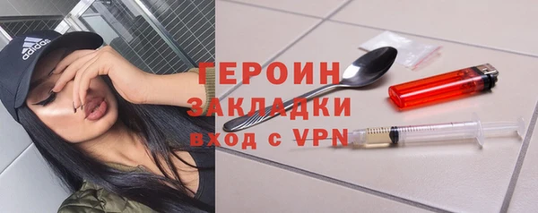 индика Волоколамск