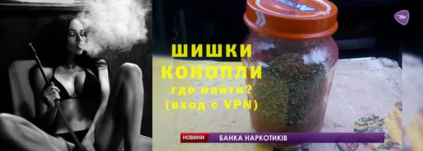 индика Волоколамск