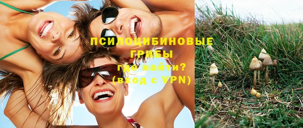 прущая мука Вязники