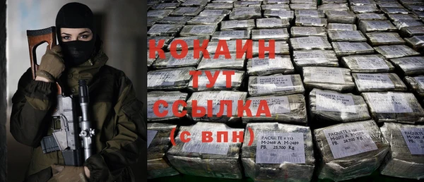 гидра Володарск