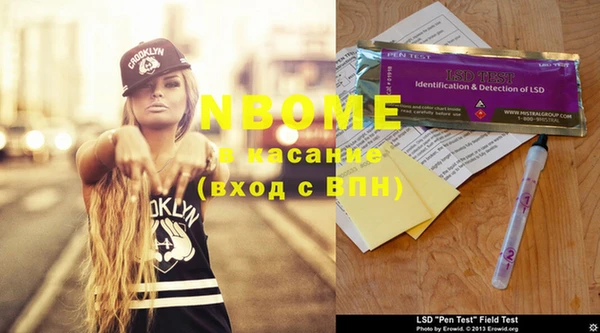 индика Волоколамск