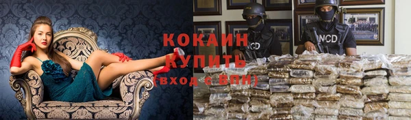индика Волоколамск