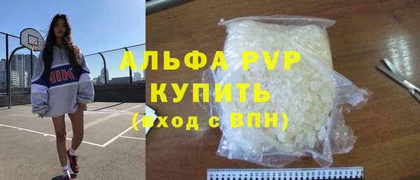 гидра Володарск