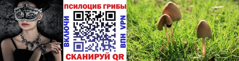 Галлюциногенные грибы мицелий  Купить где  Горячий Ключ 